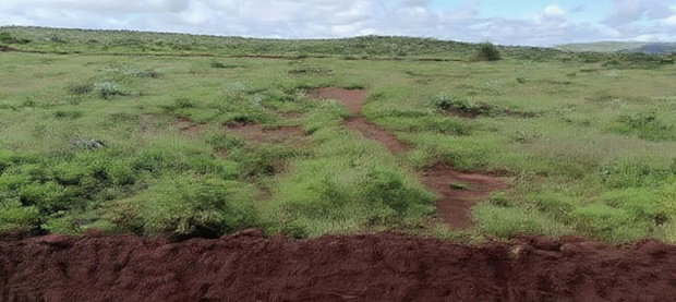 Affordable 50x100 Plot of Land in Nachu Kikuyu