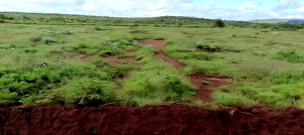 Affordable 50x100 Plot of Land in Nachu Kikuyu