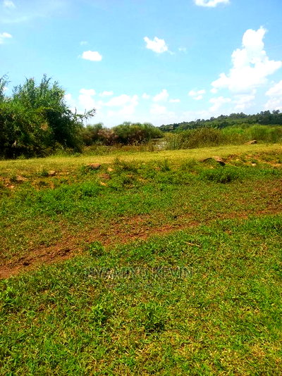 Yimbo Magombe - Image 2