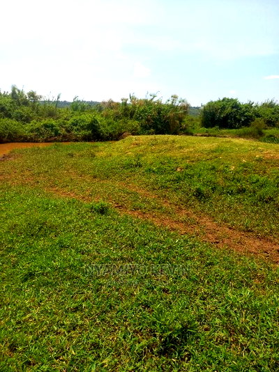 Yimbo Magombe - Image 4