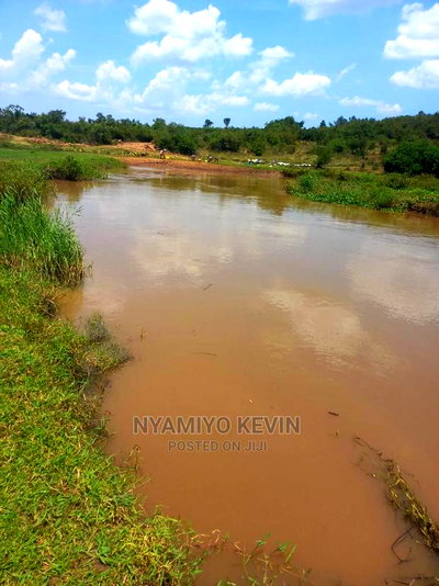 Yimbo Magombe - Image 1