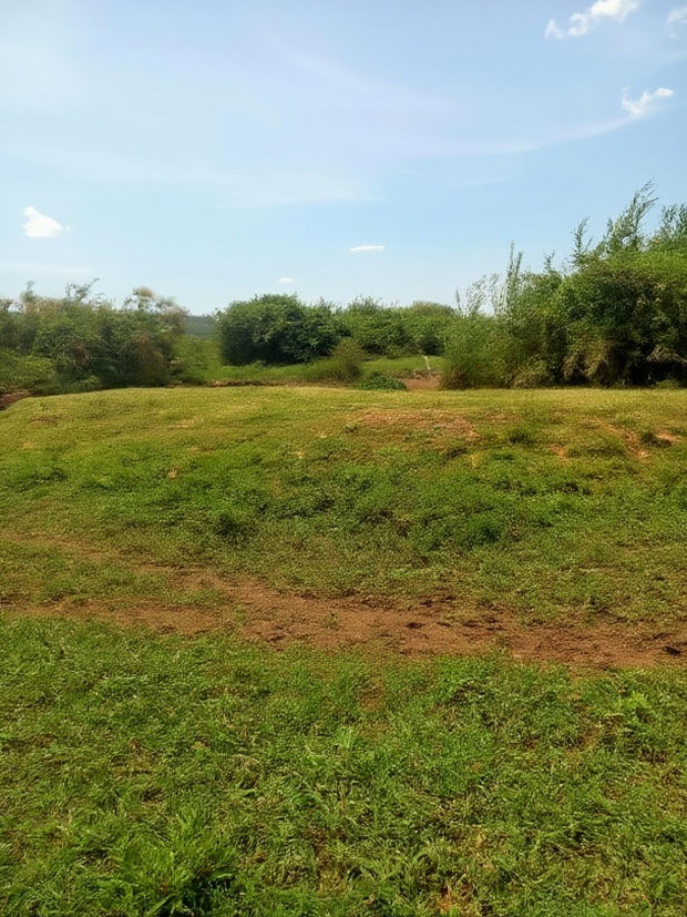 Yimbo Magombe