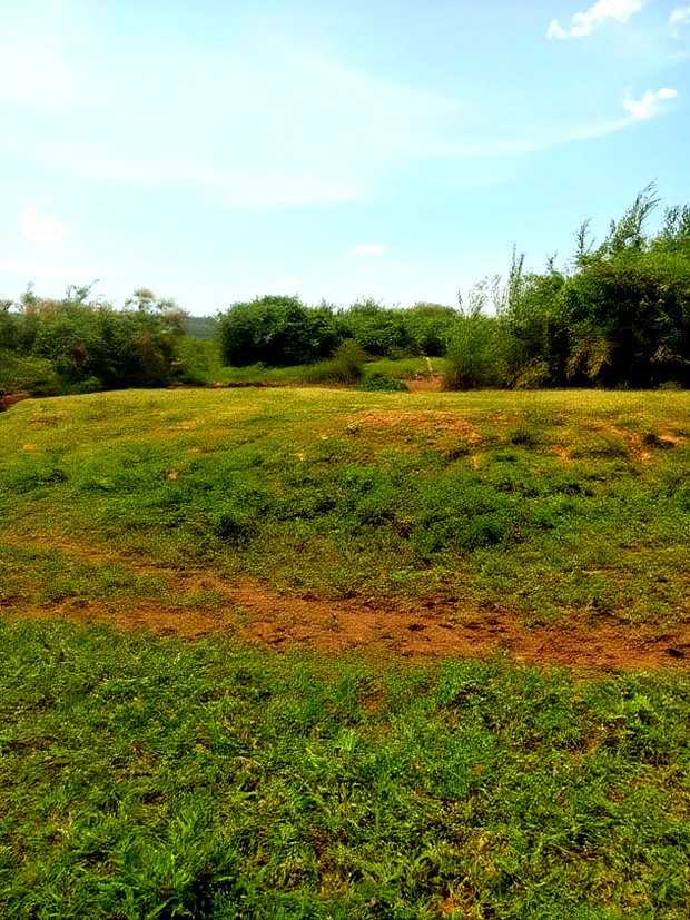 Yimbo Magombe