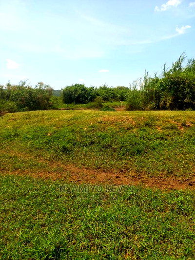 Yimbo Magombe - Image 3