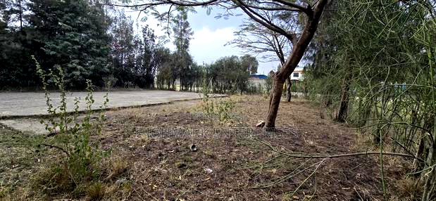 Plot for Sale Syokimau