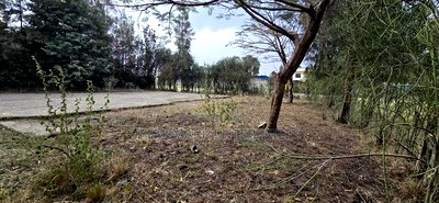 Plot for Sale Syokimau - Image 3