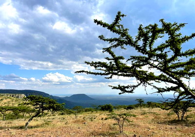 110-Acre Garden Land in Kajiado CBD