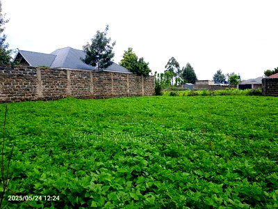 Plot on Sae - Image 2