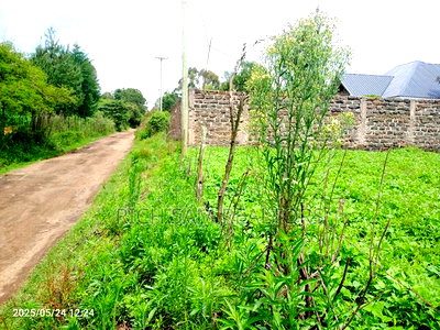 Plot on Sae - Image 4