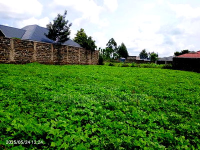 Plot on Sae - Image 5