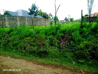 Plot on Sae - Image 1