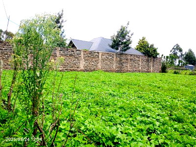 Plot on Sae - Image 6