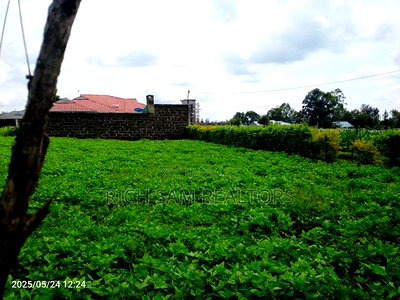 Plot on Sae - Image 7