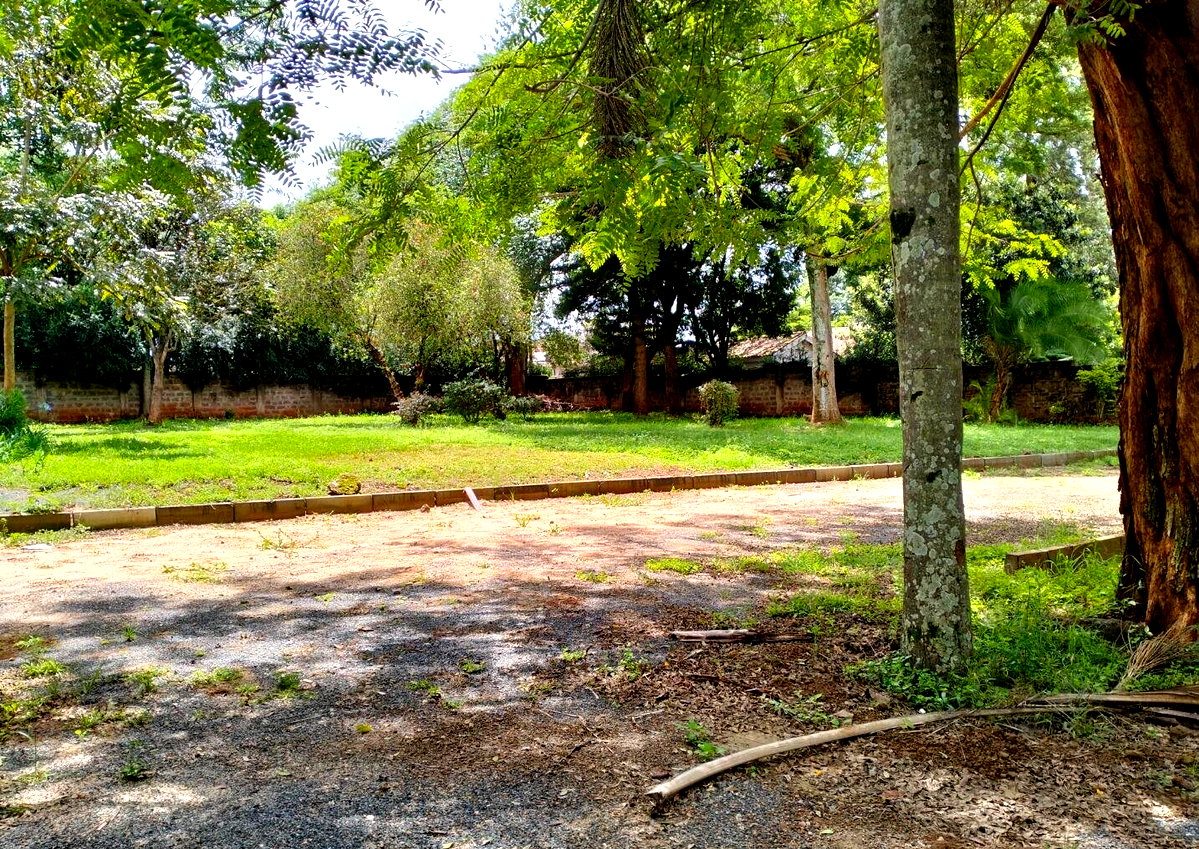 0.9 Acre Lavington Gem with Garden
