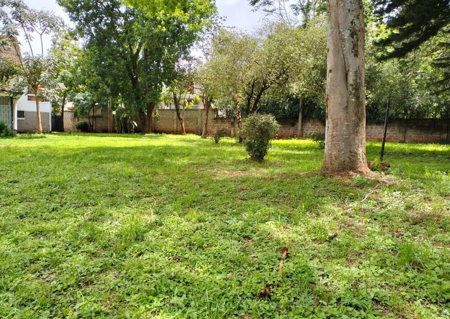 0.9 Acre Lavington Gem with Garden