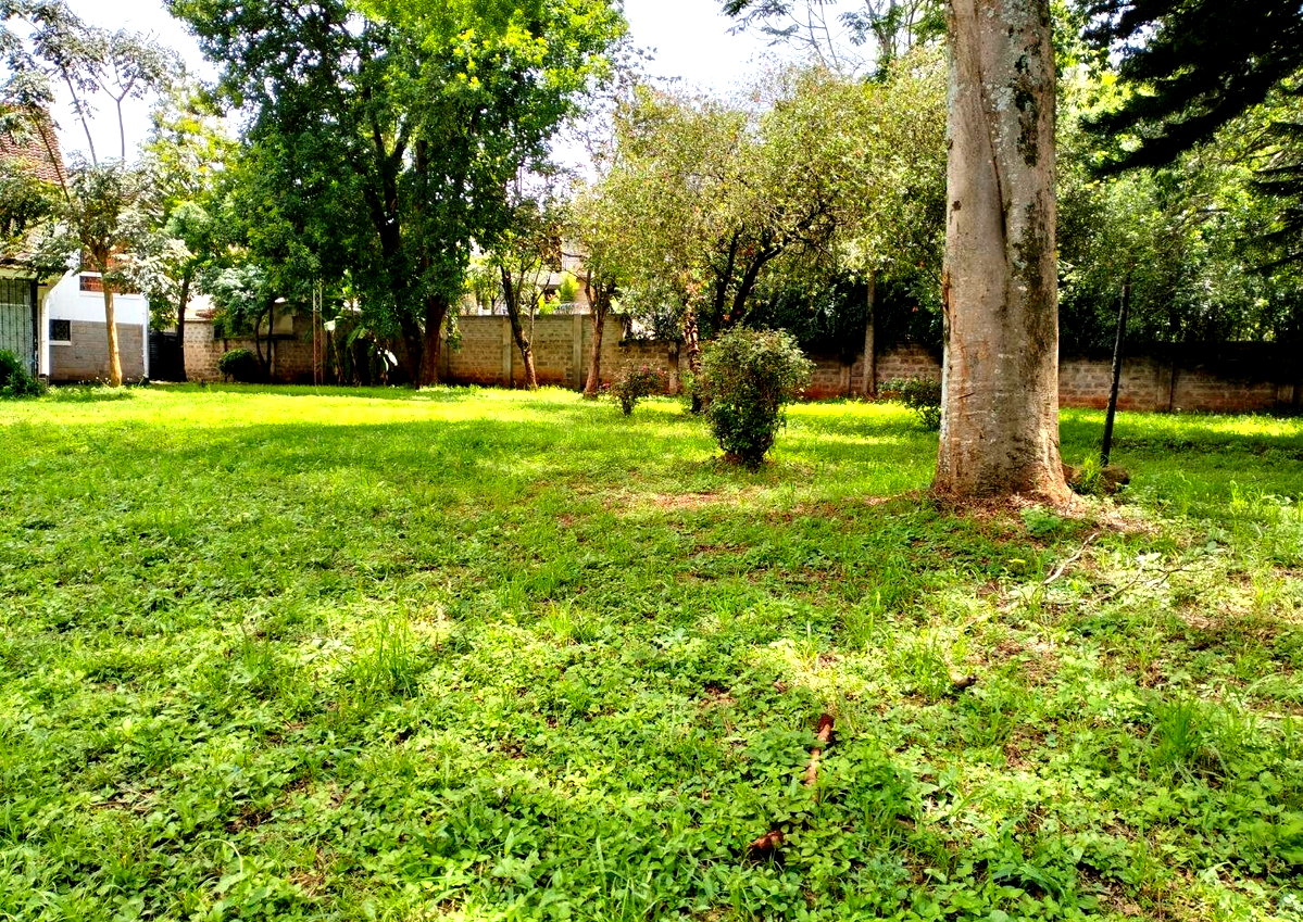 0.9 Acre Lavington Gem with Garden