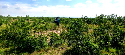 Get Land Within Nanyuki at Per Acre - Image 2