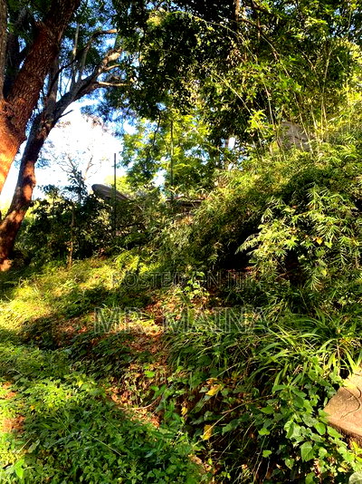 5bdrm Maisonette In Muthaiga Estate For Sale - Image 8