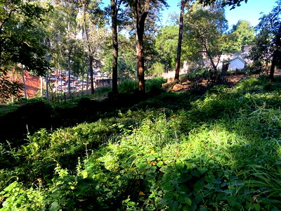 5bdrm Maisonette In Muthaiga Estate For Sale - Image 5