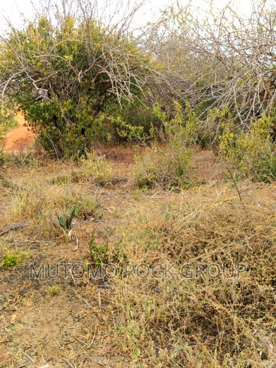 178acres For Sale With Title Deed - Image 3