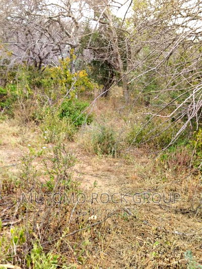 178acres For Sale With Title Deed - Image 1