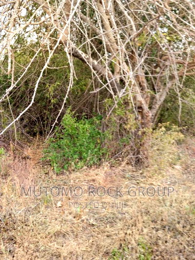 178acres For Sale With Title Deed - Image 2