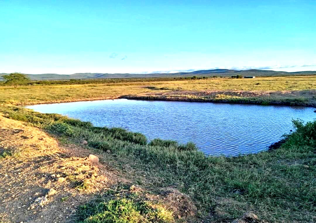 20-Acre Land at KSh 3.2M per Acre