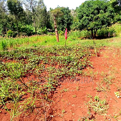 Kenol Town Plots for Sale Along Catholic Road - Image 8