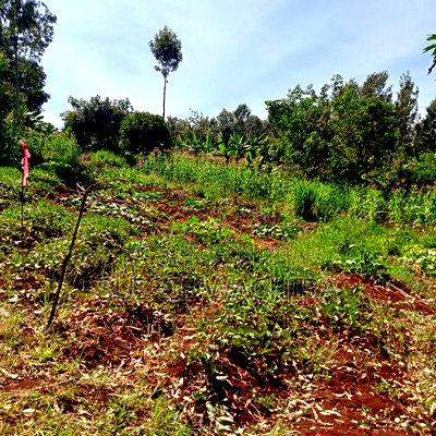 Kenol Town Plots for Sale Along Catholic Road - Image 7