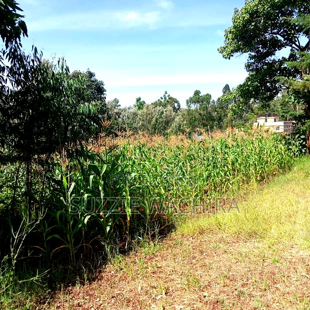 Kenol Town Plots for Sale Along Catholic Road