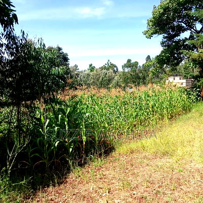 Kenol Town Plots for Sale Along Catholic Road - Image 1