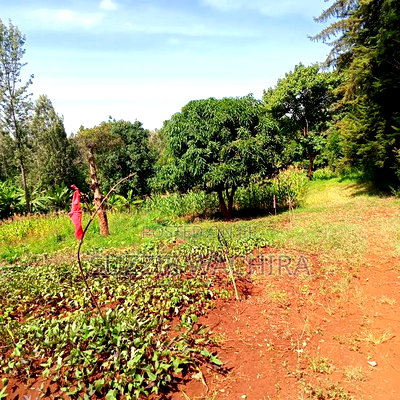 Kenol Town Plots for Sale Along Catholic Road - Image 6