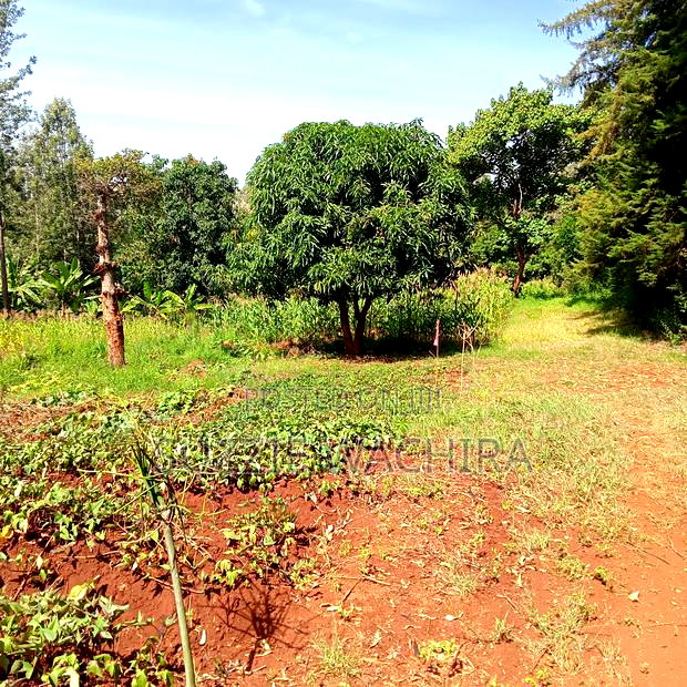 Kenol Town Plots for Sale Along Catholic Road