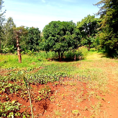 Kenol Town Plots for Sale Along Catholic Road - Image 2