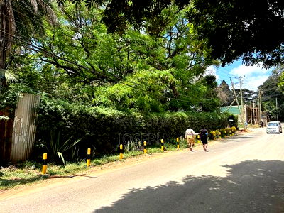 Lavington Hatheru Road 0.5acres for Sale - Image 3