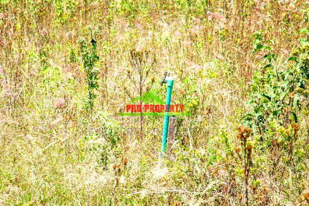 Prime Plot for Sale in Kikuyu, Kamangu (Gated Community)