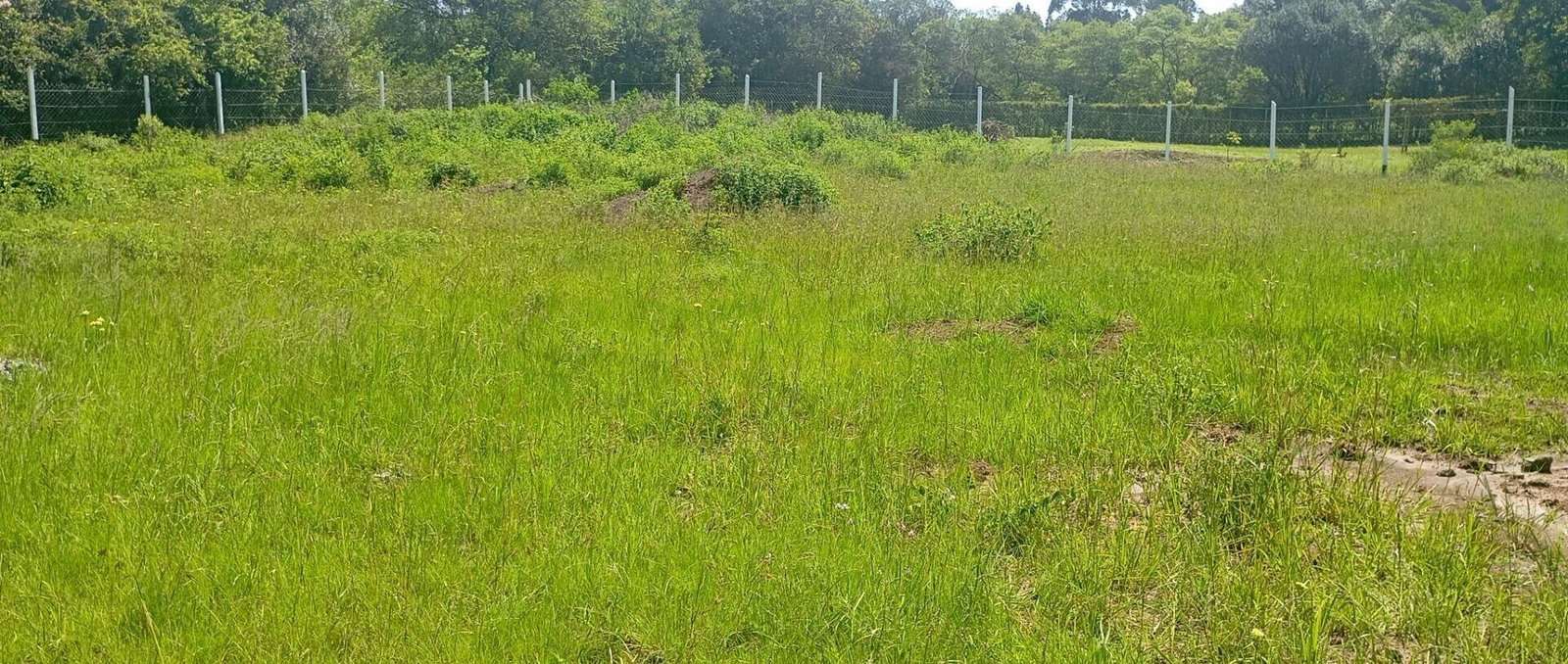 1/2 Acre Karen Plot at KSh 36M