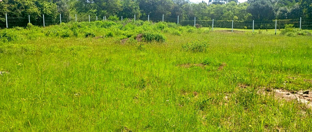 1/2 Acre Karen Plot at KSh 36M