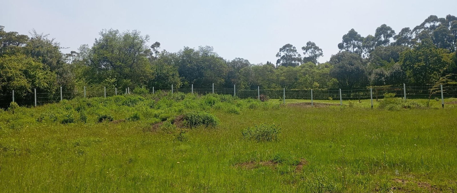 1/2 Acre Karen Plot at KSh 36M