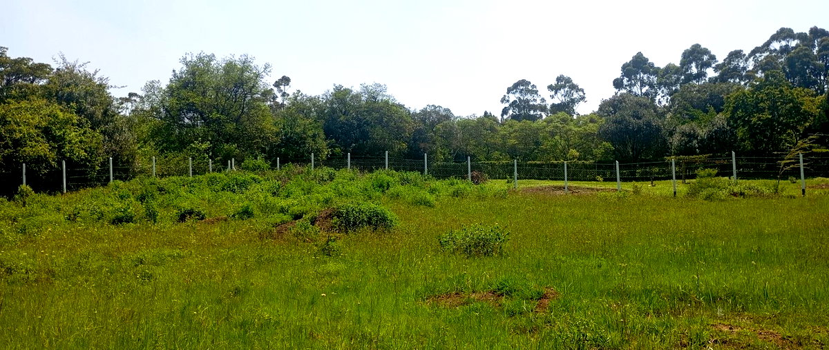 1/2 Acre Karen Plot at KSh 36M