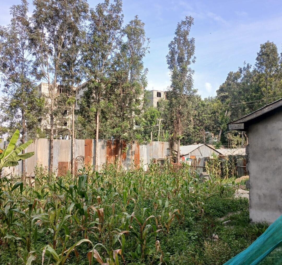 Quarter Acre Plot at KSh 6.5M