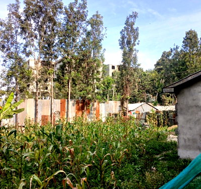 Quarter Acre Plot at KSh 6.5M