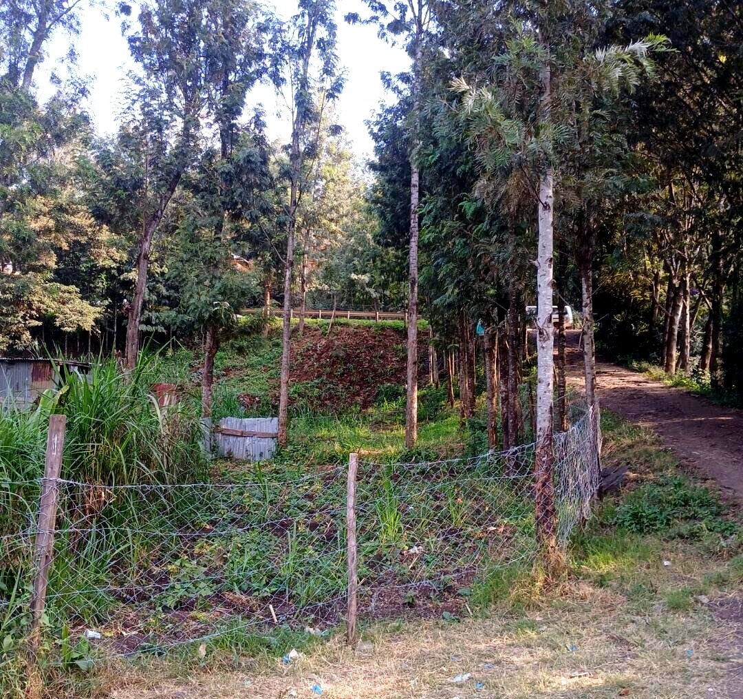 Quarter Acre Plot at KSh 6.5M