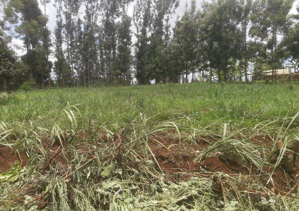 Quarter Acre Plot with Garden in Kerugoya