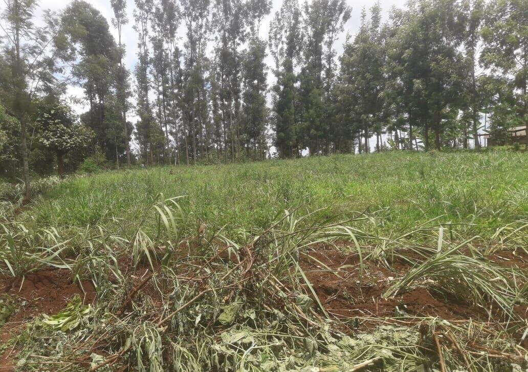 Quarter Acre Plot with Garden in Kerugoya