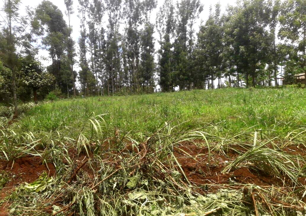 Quarter Acre Plot with Garden in Kerugoya
