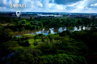 Premium Studios ,1,2 and 3 Bedroom Apartment in Tatu City - Image 3