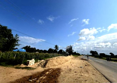 1/8 Plot for Sale in Sheriani Near Pazuri Junction Ls199 - Image 5