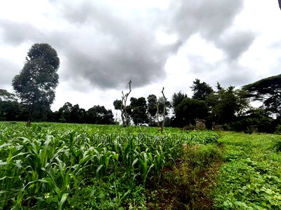 5 Acres of Fertile Farmland in Ngong, Kahara, Upper Matasia - Image 7
