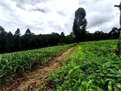 5 Acres of Fertile Farmland in Ngong, Kahara, Upper Matasia - Image 9